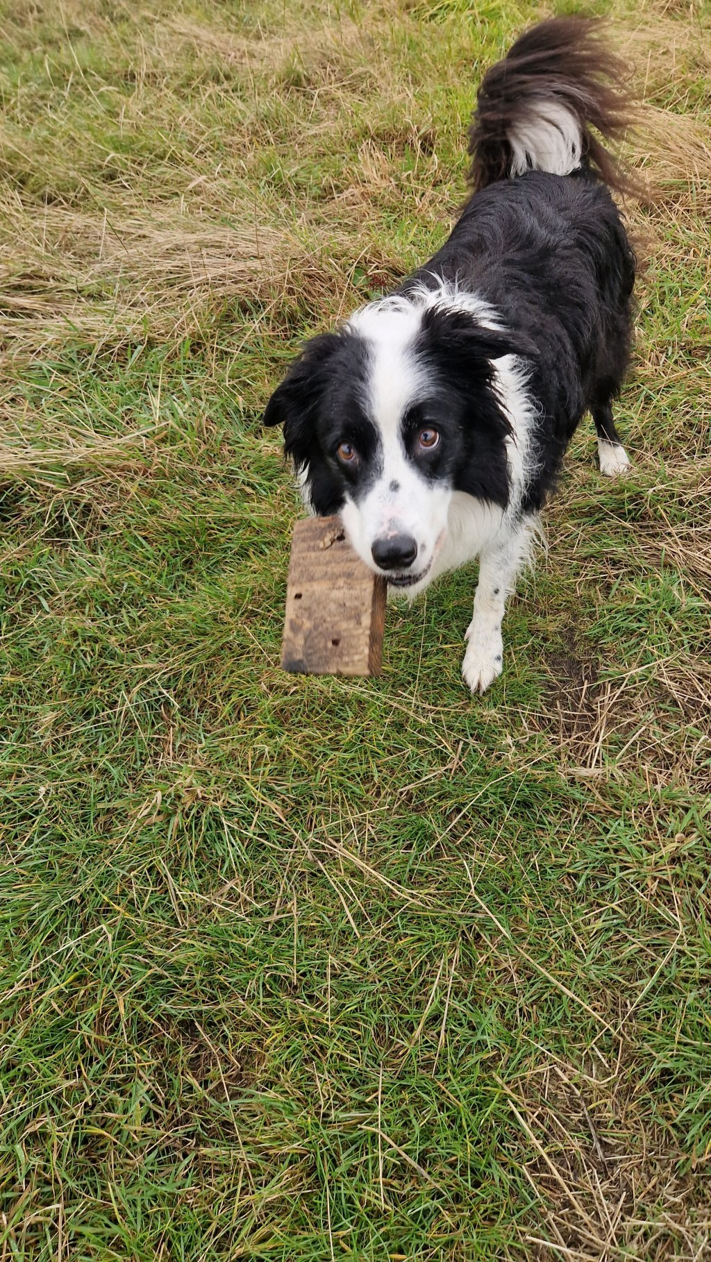 Crappy Artwork and Plastic&nbsp;Bottles